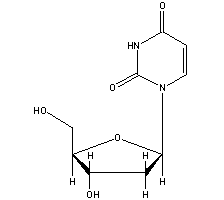 951-78-0 2'-脱氧尿苷