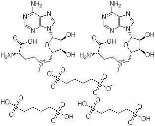 101020-79-5 S-腺苷甲硫氨酸 1,4-丁二磺酸盐