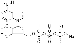 987-65-5;51963-61-2 腺苷 5'-三磷酸二钠盐 “哦
     
    </td>
   </tr>
  
  
    
  
    

    
   <tr bgcolor=