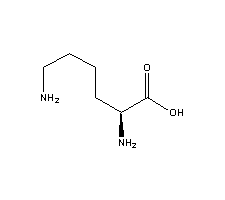 56-87-1 L-赖氨酸