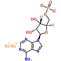 4578-31-8;149022-20-8 腺苷 5'-单磷酸钠*来自 酵母