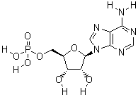 61-19-8 5'-单磷酸腺苷