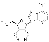 58-61-7 腺苷