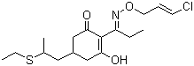 99129-21-2 Clethodim