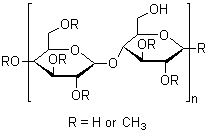 9004-67-5 甲基纤维素