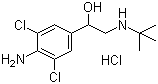 21898-19-1盐酸克伦特罗