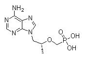 147127-20-6 替诺福韦