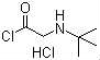 915725-52-9 2-(叔丁基)氨基乙酰氯盐酸盐
